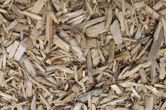 biomass boilers Eoropaidh